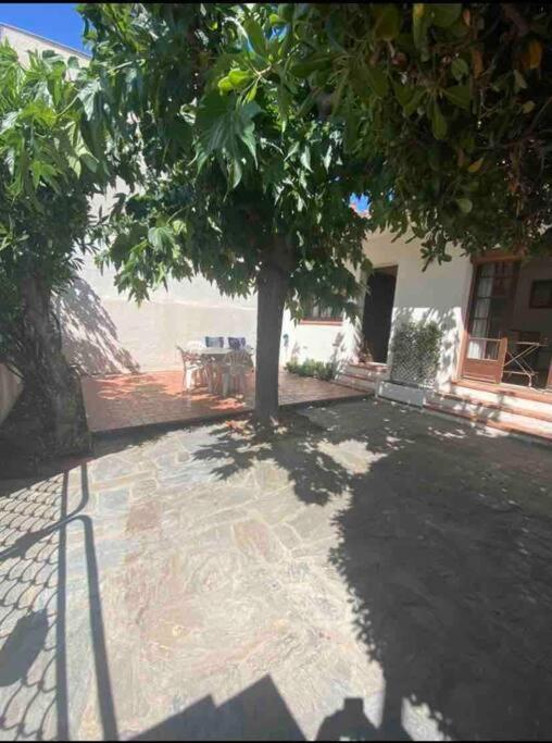 Ferienhaus Maison Proche Canet-en-Roussillon